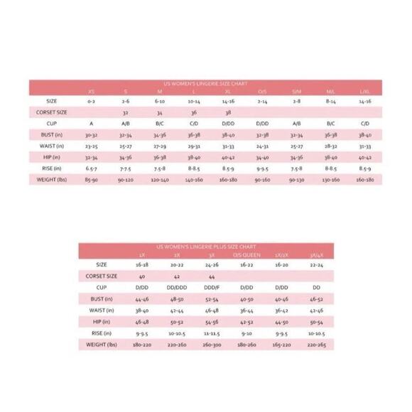 🦋B2G1🦋DREAMGIRL High-Waisted Cutout Back Lace Panty With Scalloped Lace Trim - Picture 4 of 5